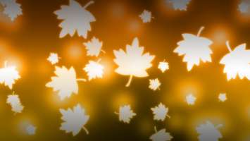 White Leafs Pattern Wallpaper