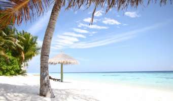 White Sand Beach Wallpaper