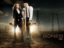 Bones Duo Wallpaper