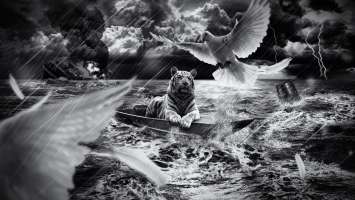 Tiger In Boat Wallpaper