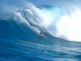 Surf Wallpaper
