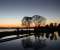 Lake Night