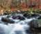 Cuha Brook