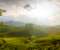 The Hills of Munnar