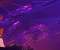 armin-van-buren-