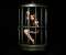 Miley Cyrus cage