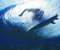 Surfer above