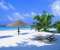Exotic Paradise