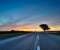 Road and sunset