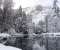 Winter Reflection