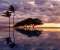 Reflections in Paradise
