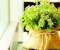 Flowers Bag