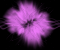 Pink And Purple