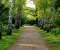 Calm and Sorrowful