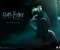 Harry Potter: Deathly Hallows