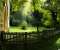 Summer Pathway