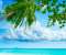 Exotic Summer