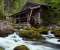 Gollinger Mill