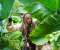 Pirates of the Caribbean: On Stranger Tides