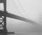 Black and white fog