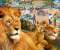 Wildlife Park 3