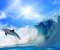 Amazing life of sea