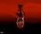 Tru Blood Bottle 3