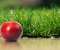 Red apple close view