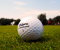 Putting Practice