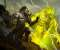 Guild Wars 2