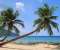 Paradise Island