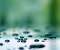 Levitating Droplets