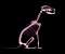 Skeleton Dog