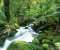Cement Creek Yarra Ranges National Park
