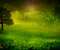 Greeny Droplets