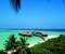 Coco Palm And Beach