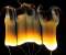 Fire Lamps