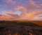 Majestic Clouds above Golden Blades of Grass