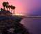 L.A. Sunset