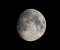 November Moon