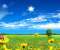 Bright Spring