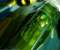 Wipeout Fusion