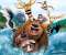 Open Season
