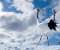 Winter Birds