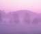 Mac Os X Pink Forest