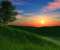 Grassy Hill Sunset