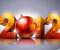 2012 New Year