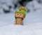Danbo In Snow