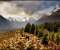 The Hobbit Moutains