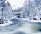 Frozen River And Trees